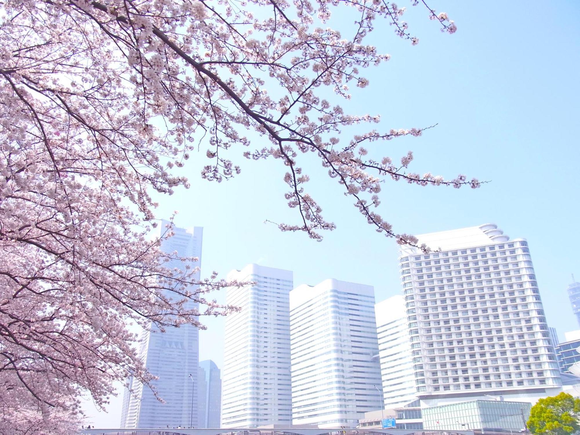 The Yokohama Bay Hotel Tokyu Exterior foto Sakura in Nagoya